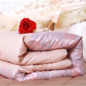 祥怡蠶絲被 春秋被子 空調(diào)被 夏涼被 手工被可拆卸提花被套 雙人被芯 巴洛克-血牙 100%桑蠶絲