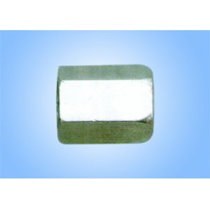 內(nèi)螺紋堵頭S34x30