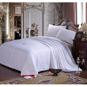 天然蠶絲被 3500克 200×230cm