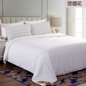 富安真絲蠶絲被夏天空調(diào)被夏涼被單雙人春秋被夏季薄被子被芯被褥