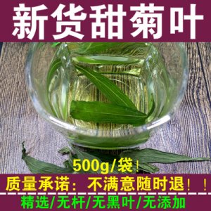 新貨特級 甜葉菊 菊花茶 無糖代糖 甜菊葉500g包郵 花草茶