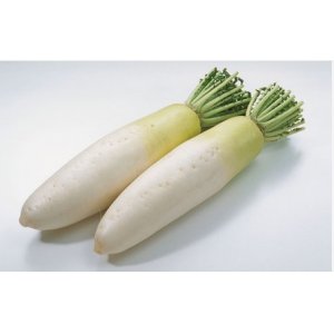 白蘿卜