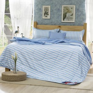 真絲蠶絲被夏天空調(diào)被夏涼被單雙人春秋被夏季薄被子被芯被褥