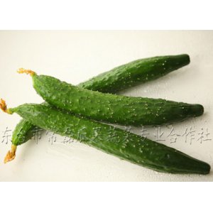 黃瓜