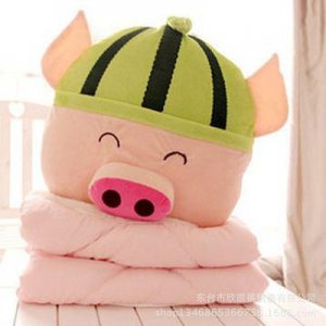 可愛卡通兩用抱枕被創(chuàng)意水果麥兜豬空調被車載辦公室午休被麥兜